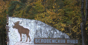 International monitoring mission to visit Belovezhskaya Pushcha