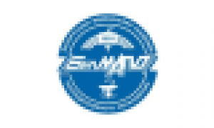 SEE «Belarusian Medical Academy of Postgraduate Education»