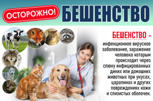 ОСТОРОЖНО БЕШЕНСТВО!